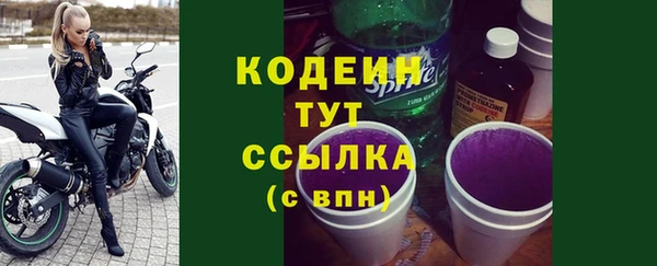 амф Бородино