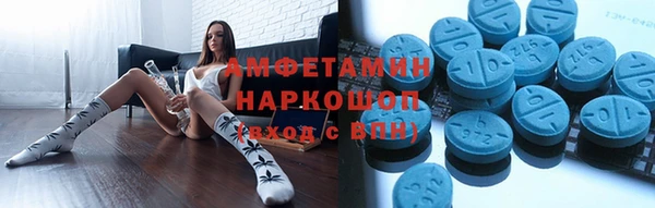 амф Бородино