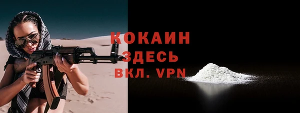 амф Бородино
