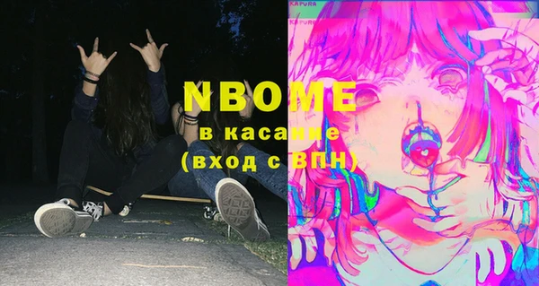 амф Бородино
