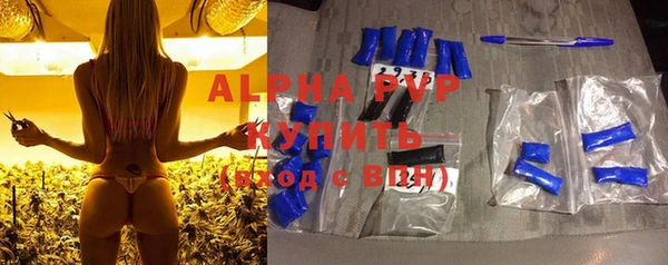 амф Бородино