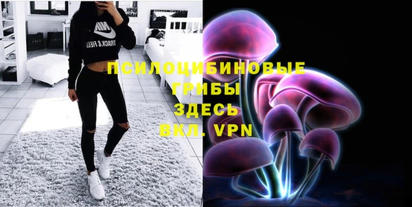 мдпв Бугульма