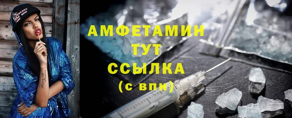 амф Бородино