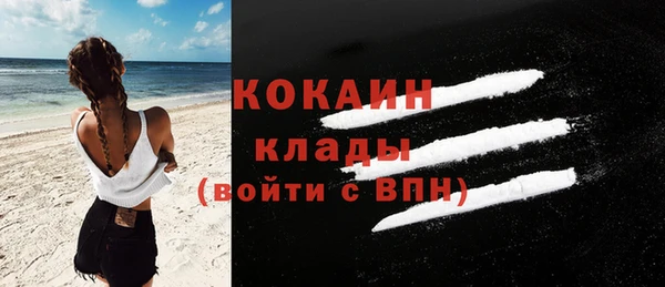 амф Бородино