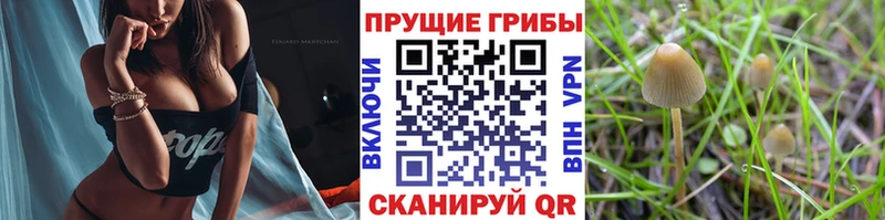 Галлюциногенные грибы ЛСД  Жуковский 